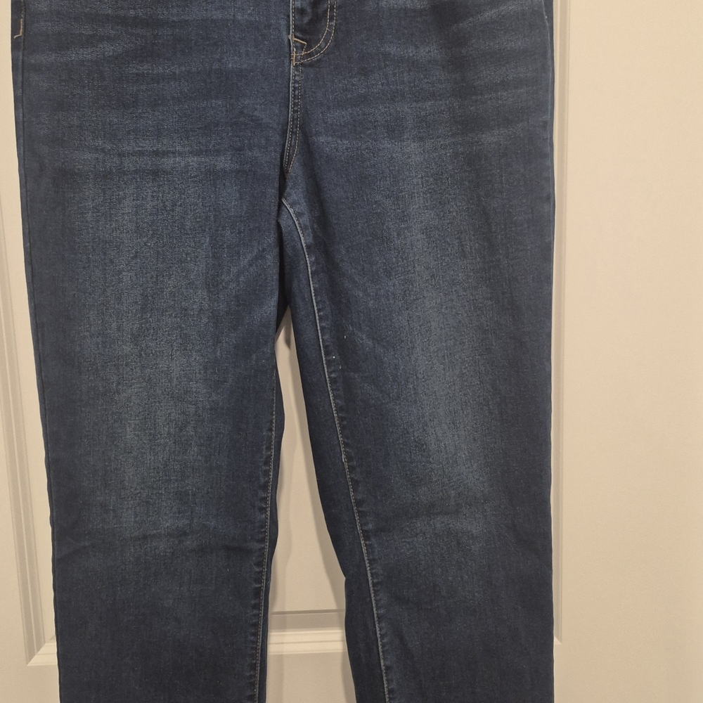 Diane Gilman Women's Straight Leg Jeans in Deep Blue